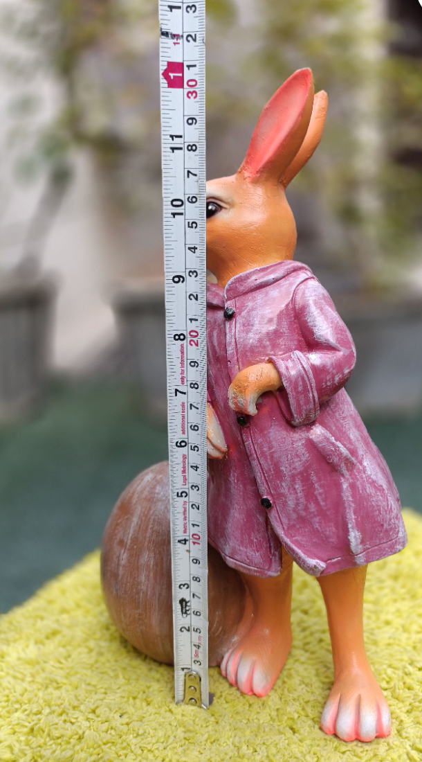 Cute Hoodie Bunny standing with Egg