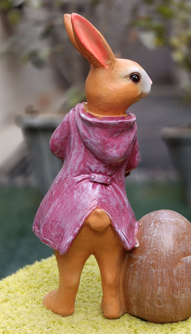 Cute Hoodie Bunny standing with Egg