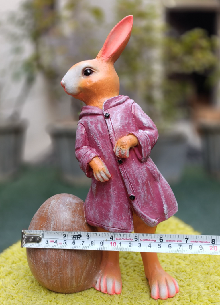 Cute Hoodie Bunny standing with Egg