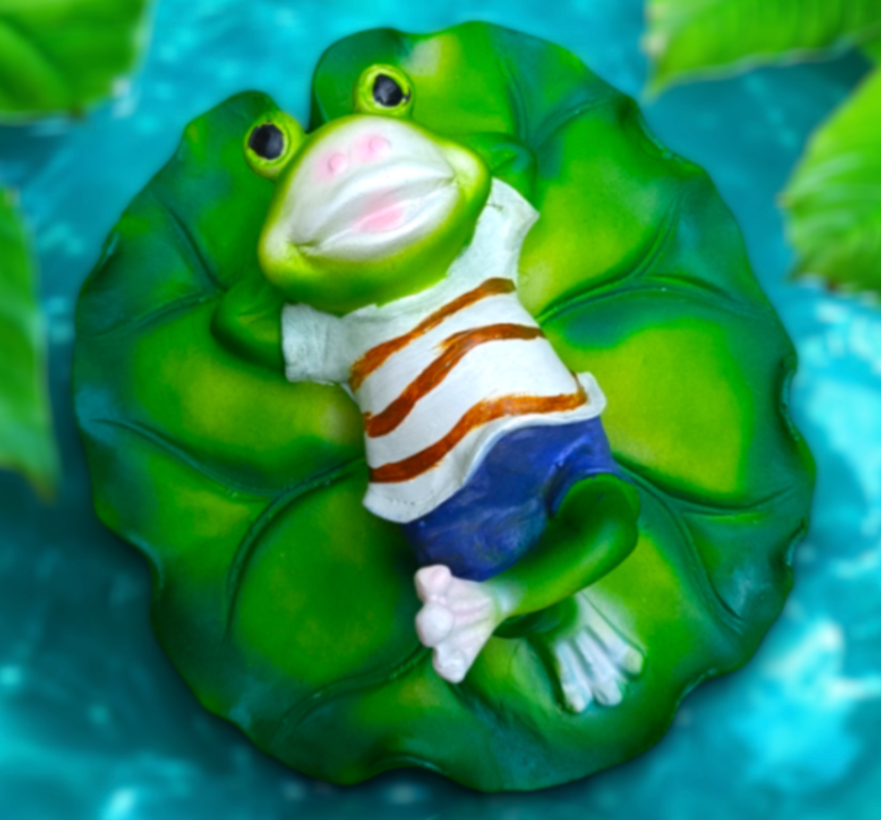 FLOATING FROG MODEL 1